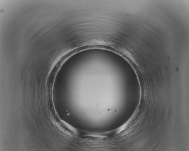 X0000064771116200602131309