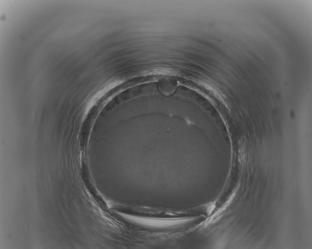 X0000064771117200602131309