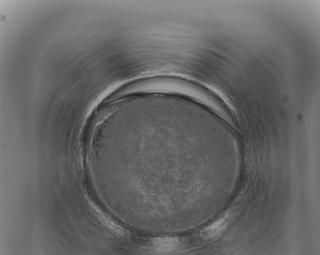 X0000064771118200602131309