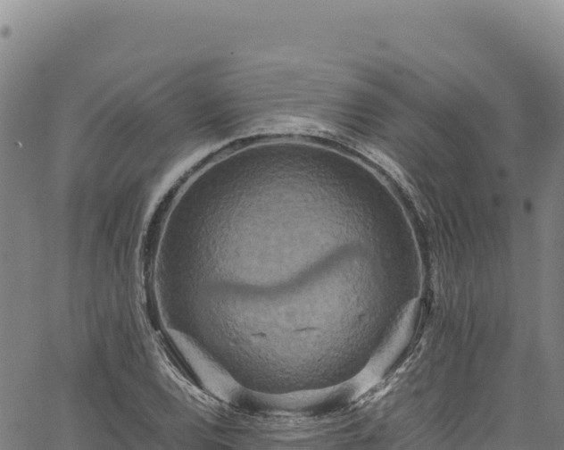 X0000064771120200602131310