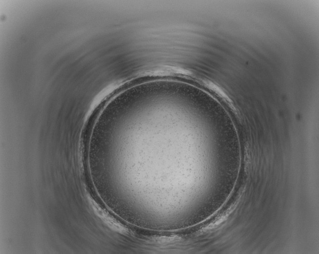 X0000064771122200602131310