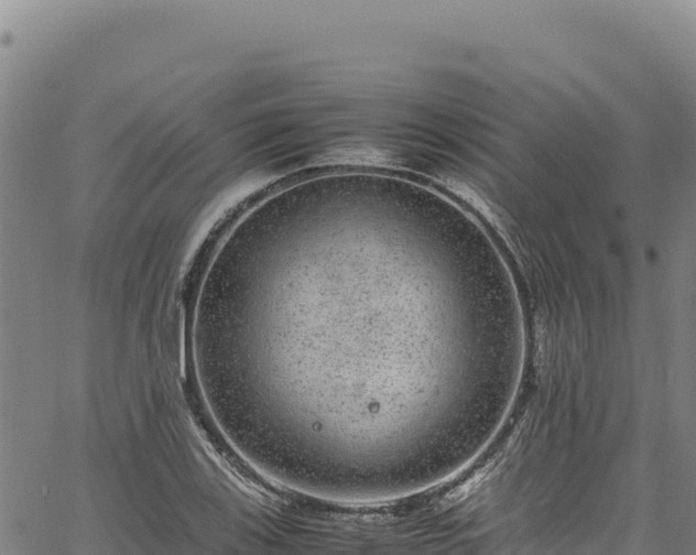 X0000064771123200602131310