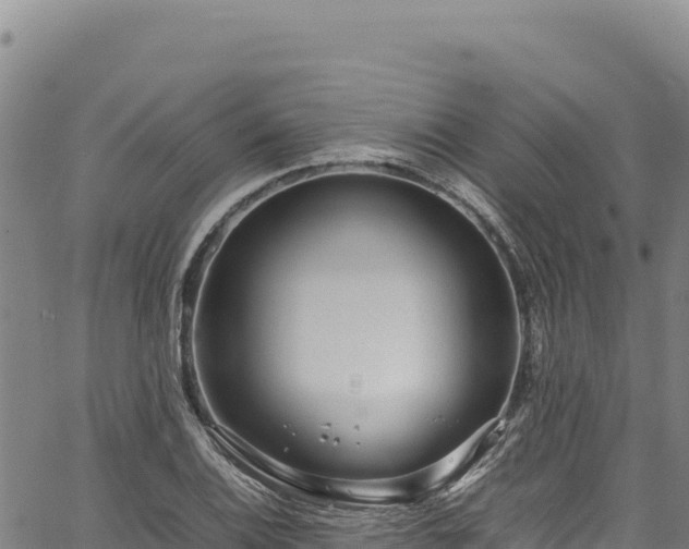 X0000064771124200602131310