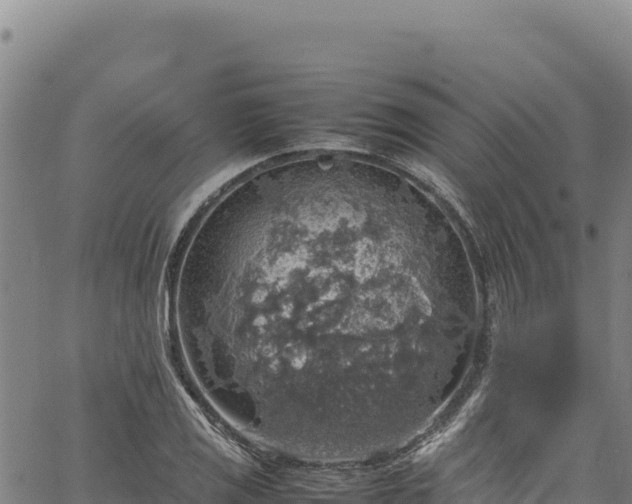 X0000064771125200602131310