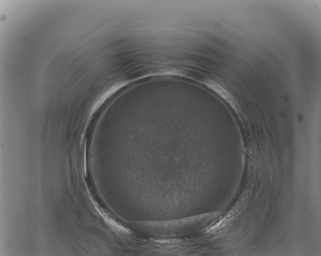 X0000064771127200602131310