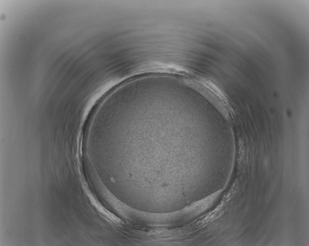 X0000064771128200602131310