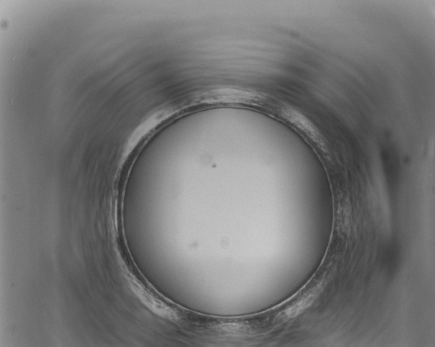 X0000064771130200602131310