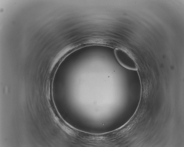 X0000064771131200602131310