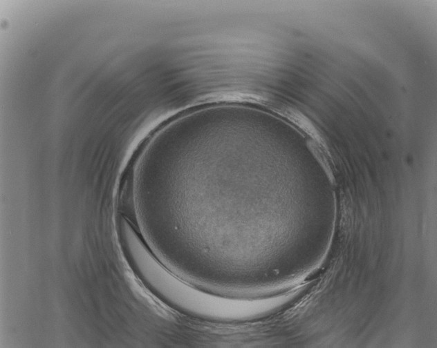 X0000064771132200602131310