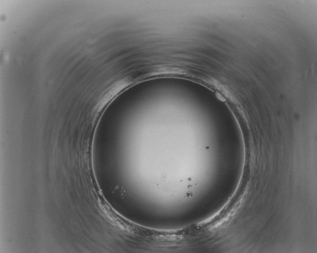 X0000064771137200602131310