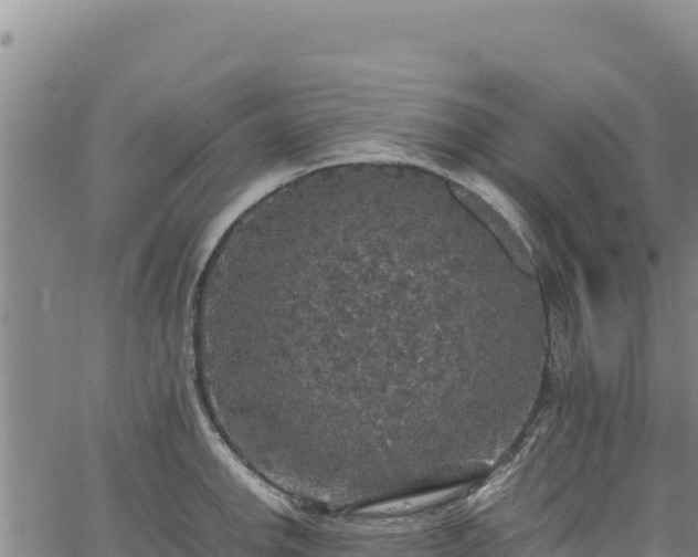 X0000064771142200602131310