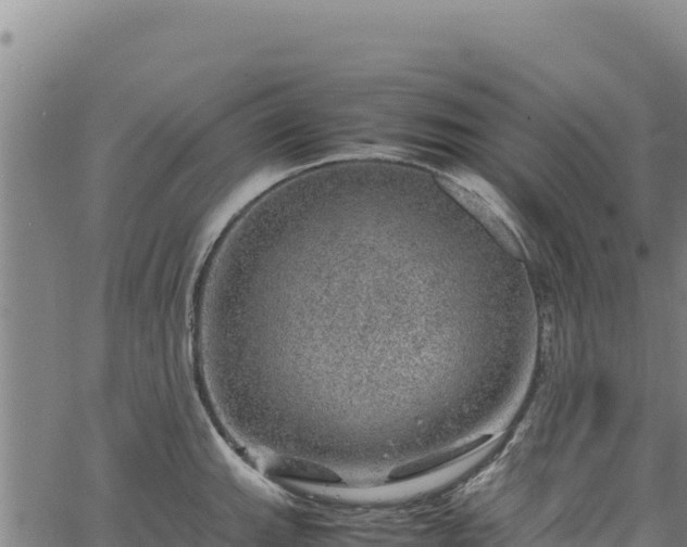 X0000064771143200602131310