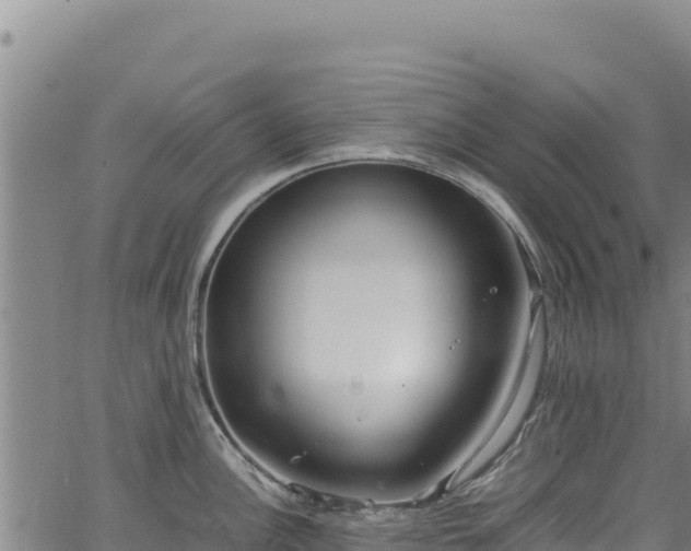 X0000064771148200602131310