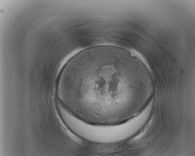 X0000064771149200602131310