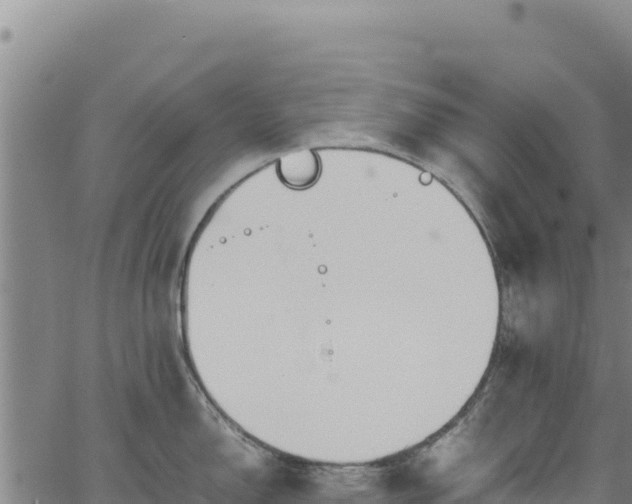 X0000064771150200602131310