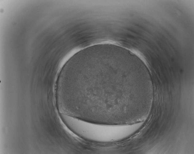 X0000064771151200602131310