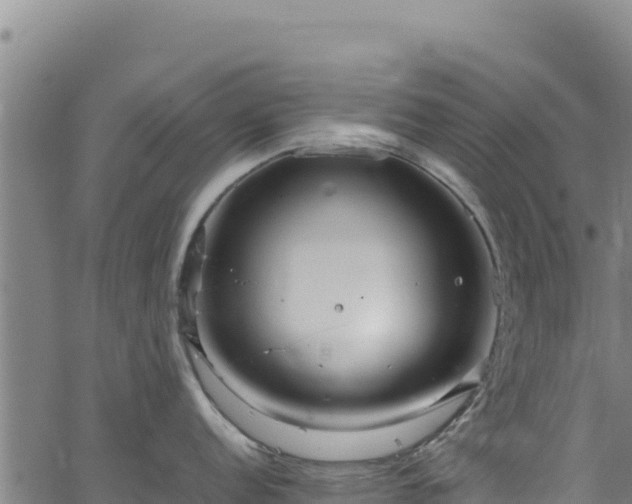 X0000064771152200602131310