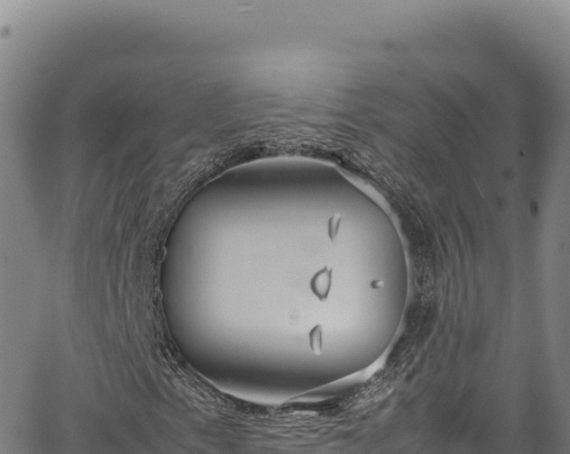 X0000064771153200602131309