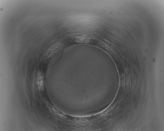 X0000064771154200602131309