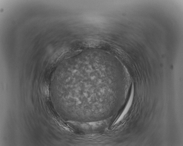 X0000064771155200602131309