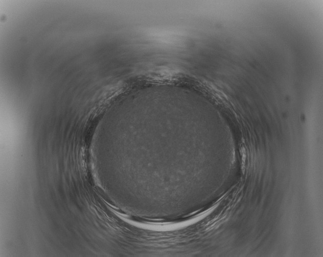 X0000064771156200602131309