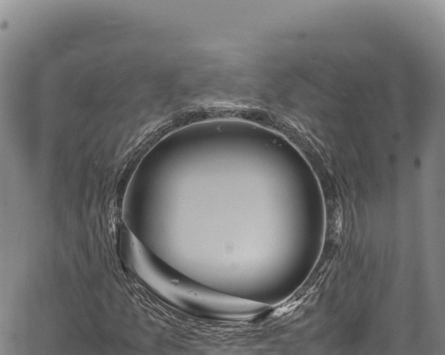 X0000064771157200602131309