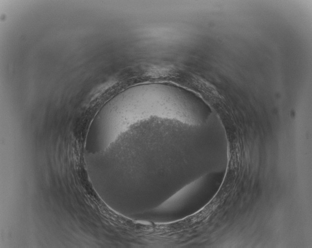 X0000064771158200602131309