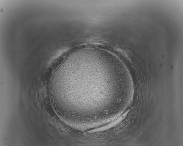 X0000064771159200602131309