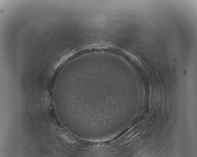 X0000064771160200602131309