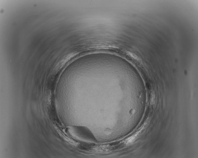 X0000064771161200602131309