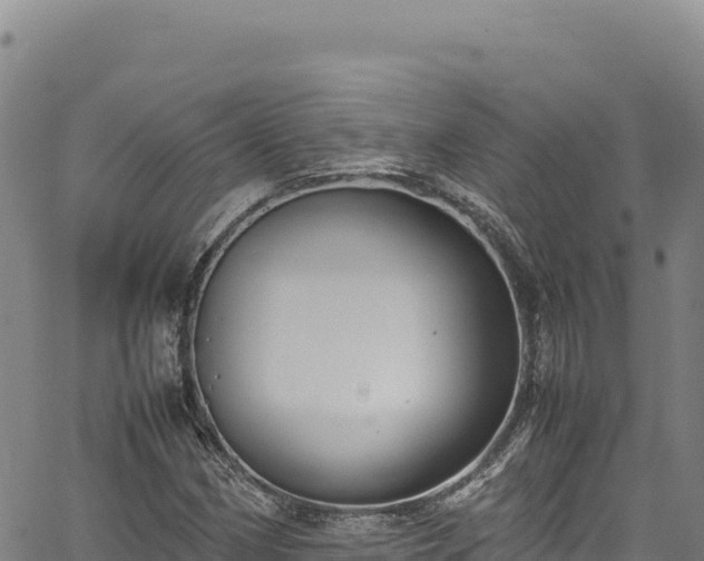 X0000064771162200602131309