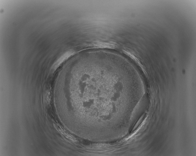 X0000064771163200602131309