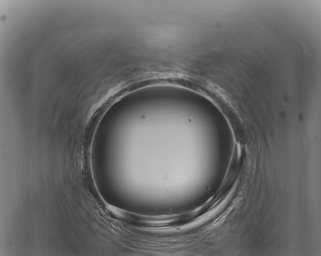 X0000064771165200602131309