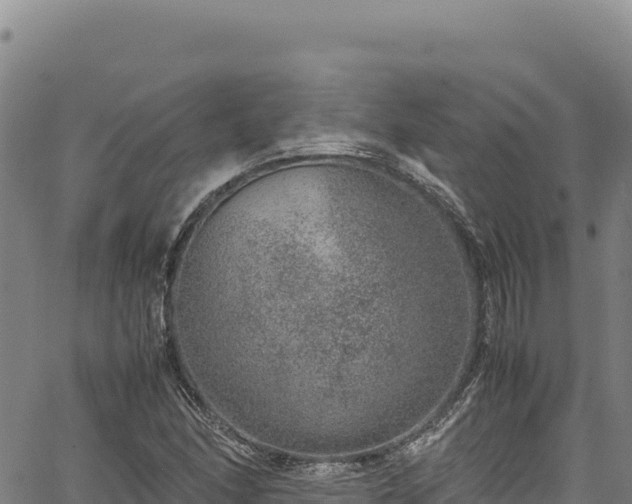 X0000064771166200602131309