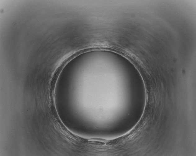 X0000064771168200602131309