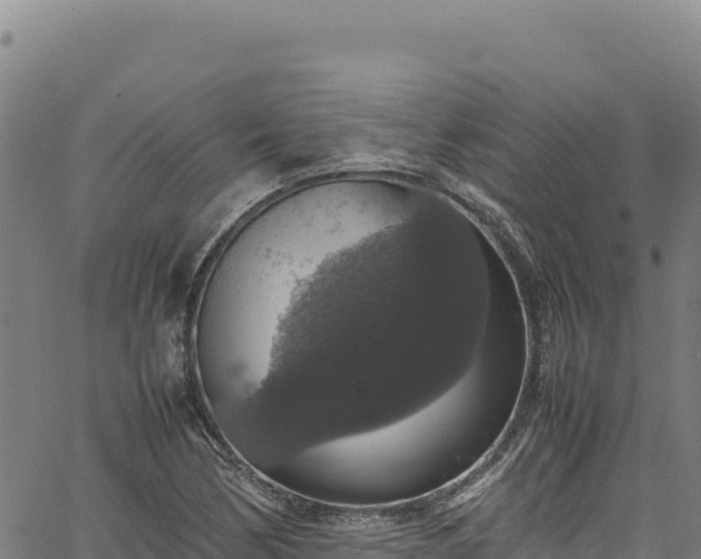 X0000064771170200602131309