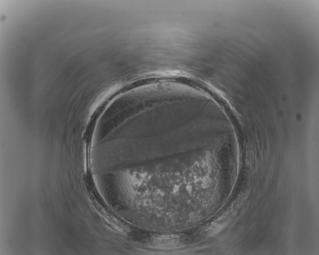 X0000064771171200602131309