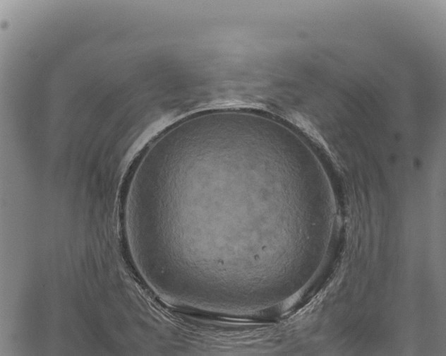 X0000064771173200602131309