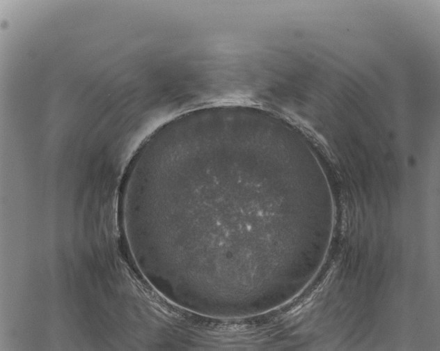 X0000064771174200602131309