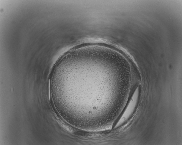 X0000064771175200602131309