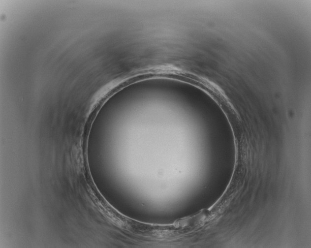 X0000064771176200602131309