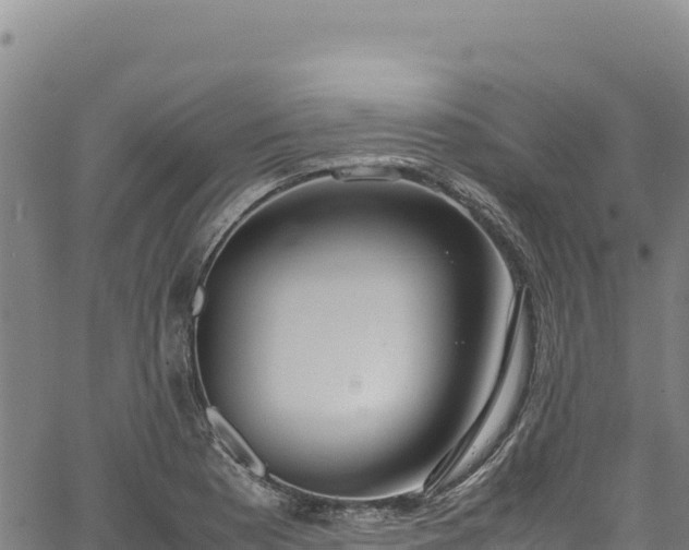 X0000064771177200602131309