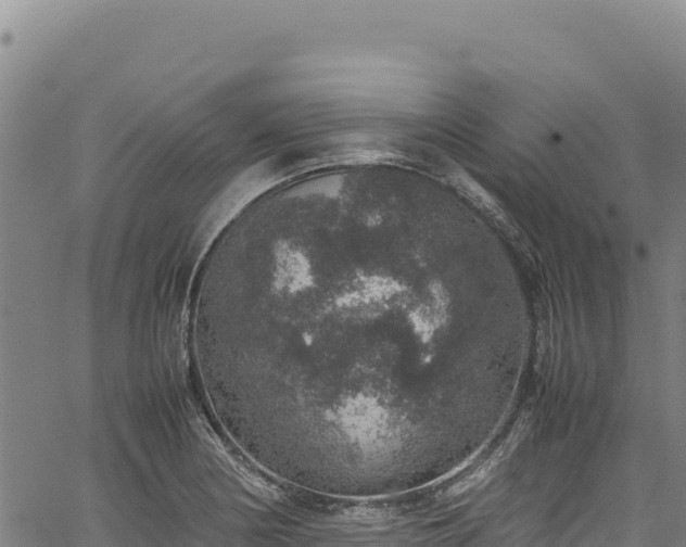 X0000064771178200602131309