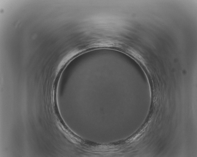 X0000064771179200602131309