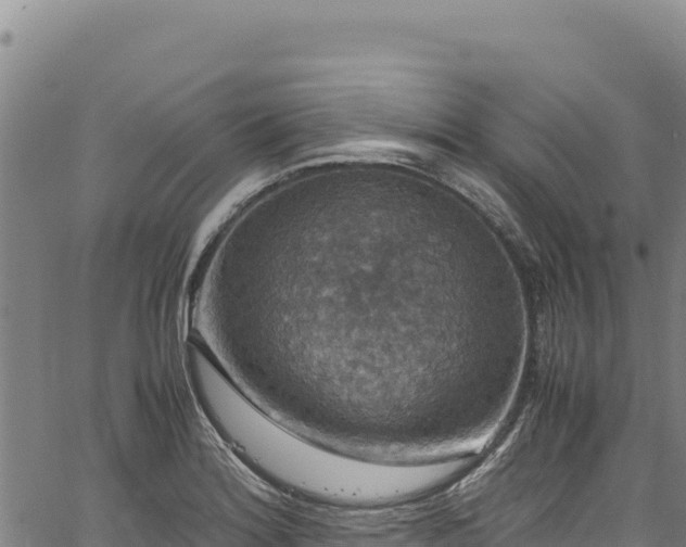 X0000064771180200602131309