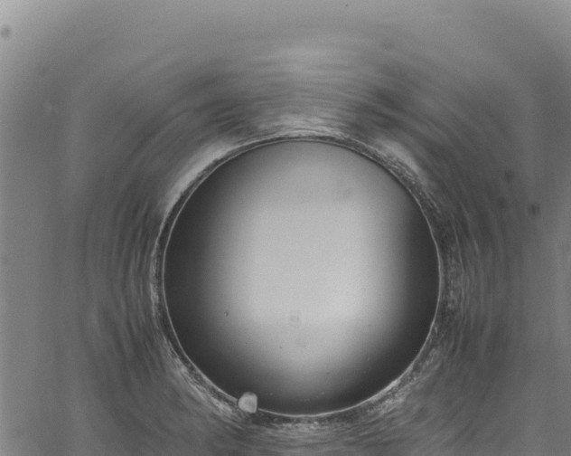 X0000064771182200602131309