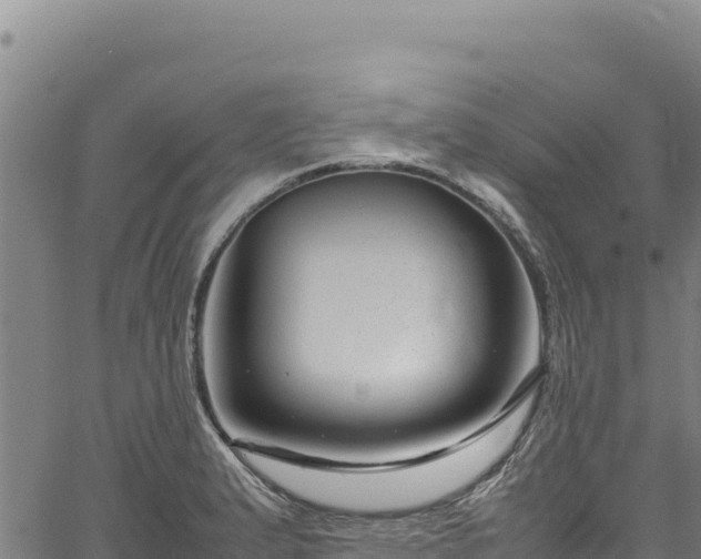 X0000064771183200602131309