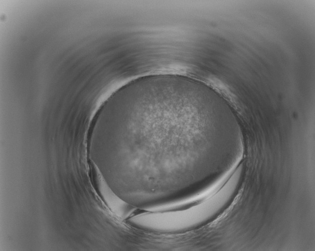 X0000064771184200602131309