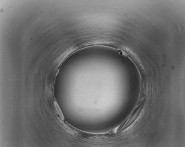 X0000064771185200602131309