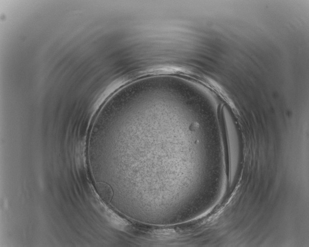 X0000064771186200602131309